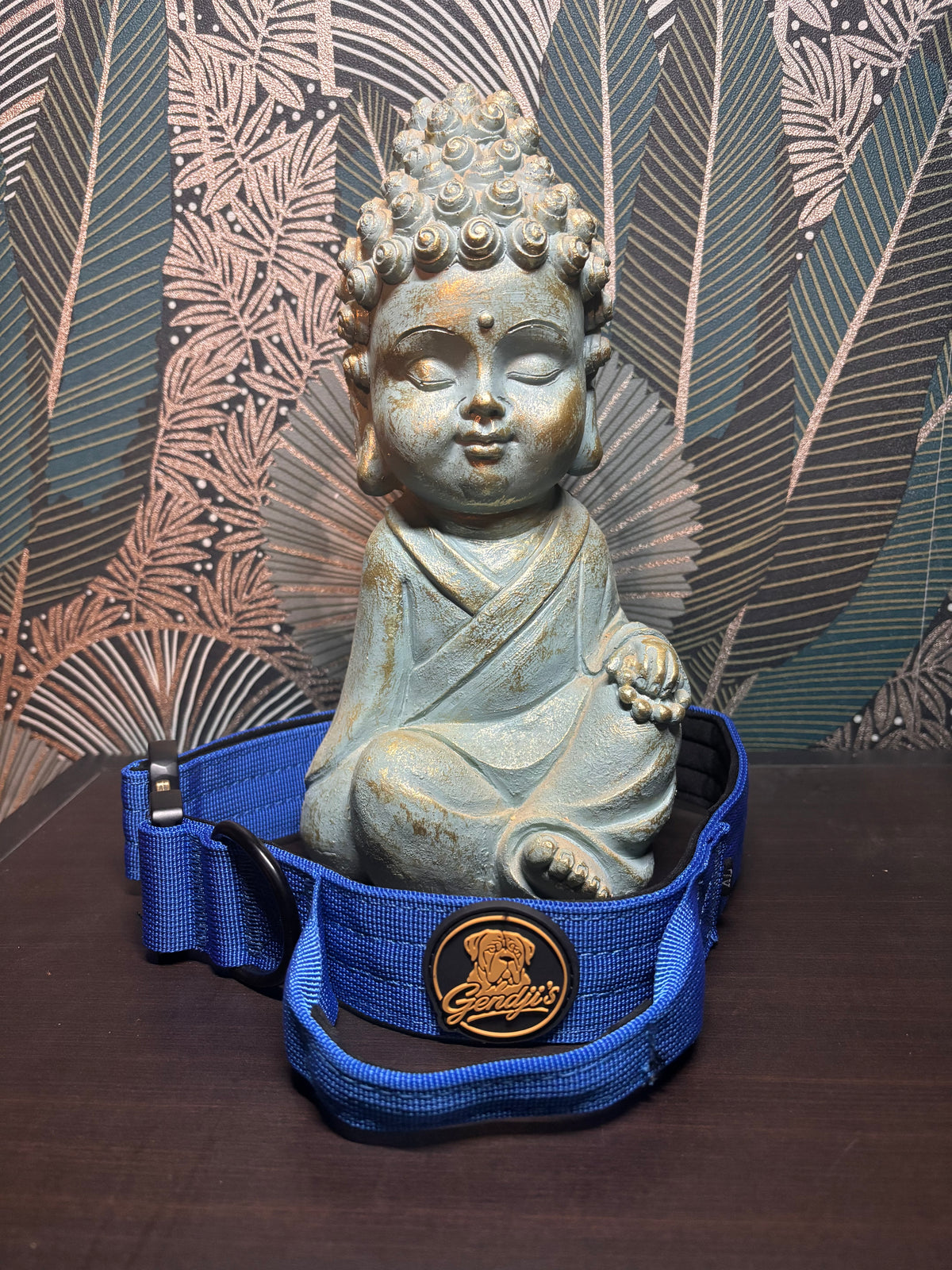 Collier tactique GENDJI’S pour chien – vue rapprochée