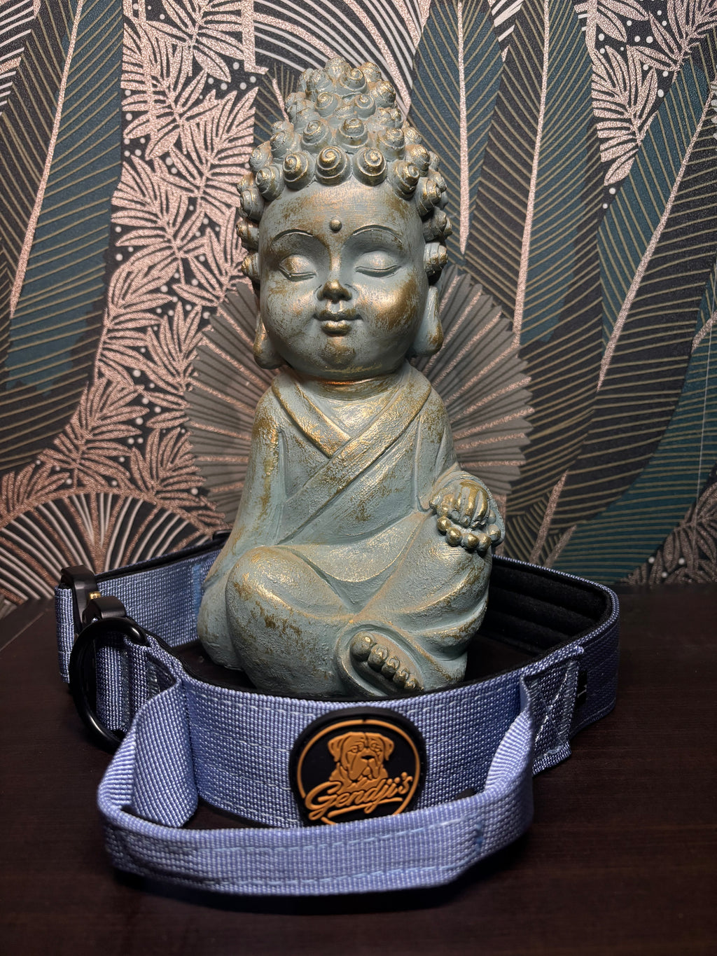 Collier tactique pour chien avec poignée renforcée – GENDJI’S