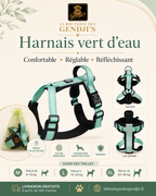 Harnais vert d’eau pour chien – photo produit 1
