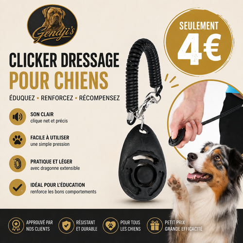 Clicker pour chien avec mousqueton – éducation et dressage
