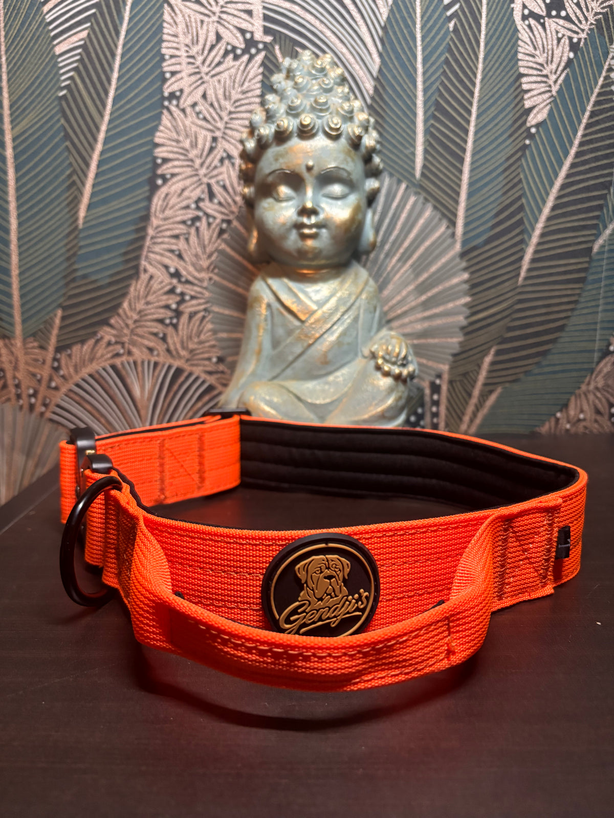 Collier tactique chien GENDJI’S avec poignée – présentation