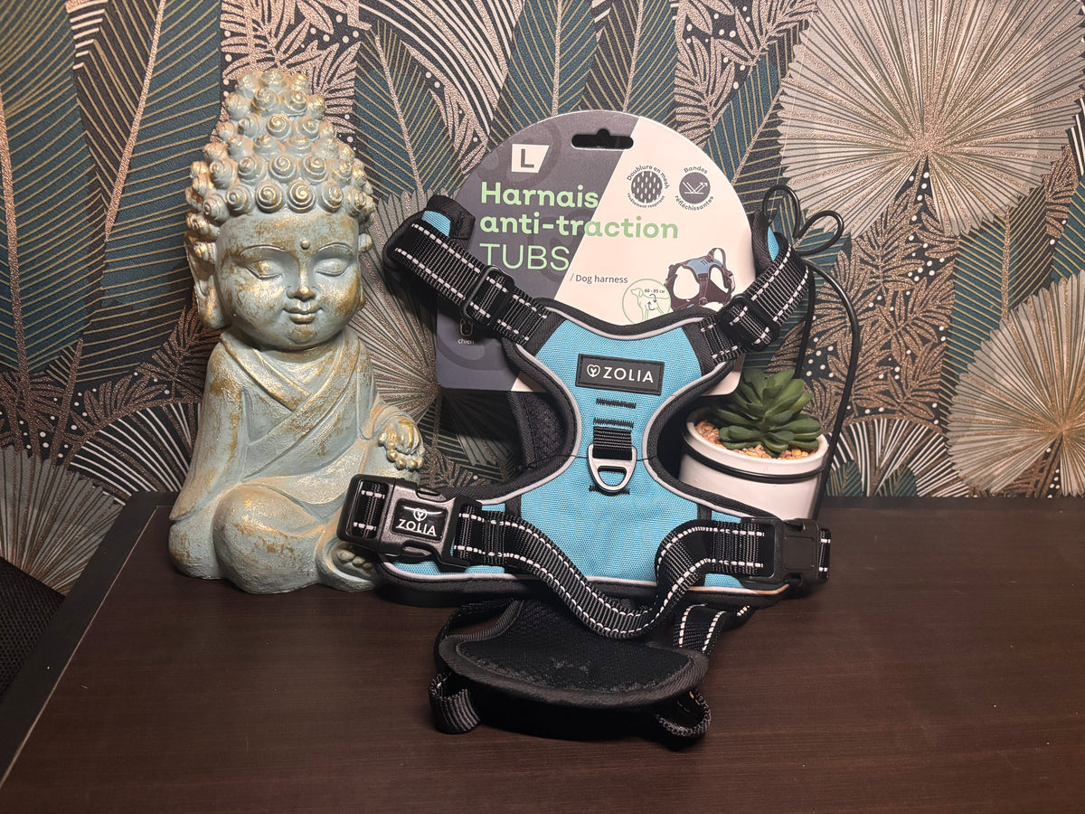 Harnais anti-traction ZOLIA TUBS rouge ou bleu – taille L à XL