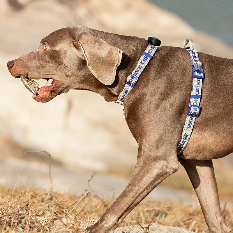🌞TrueLove Pet Harness Cloth Vest  Supplies Nylon Webbing with Led LIght🌞