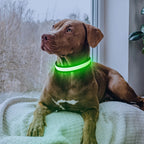 🔥Collier LED USB 🔥