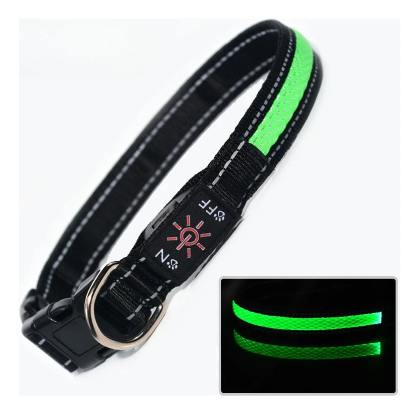 🔥Collier LED USB 🔥