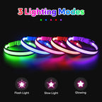 🔥Collier LED USB 🔥