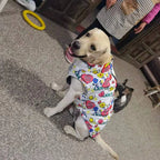 😍🥰Veste Imperméable du bonheur 🥰😍