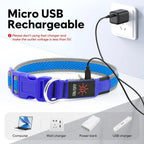 🔥Collier LED USB 🔥