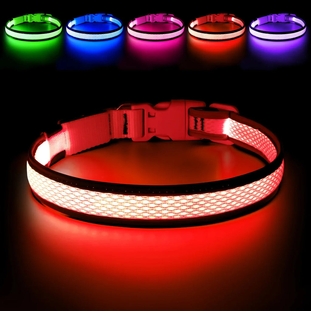 🔥Collier LED USB 🔥