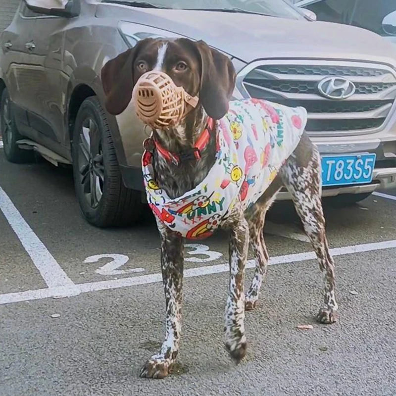 😍🥰Veste Imperméable du bonheur 🥰😍