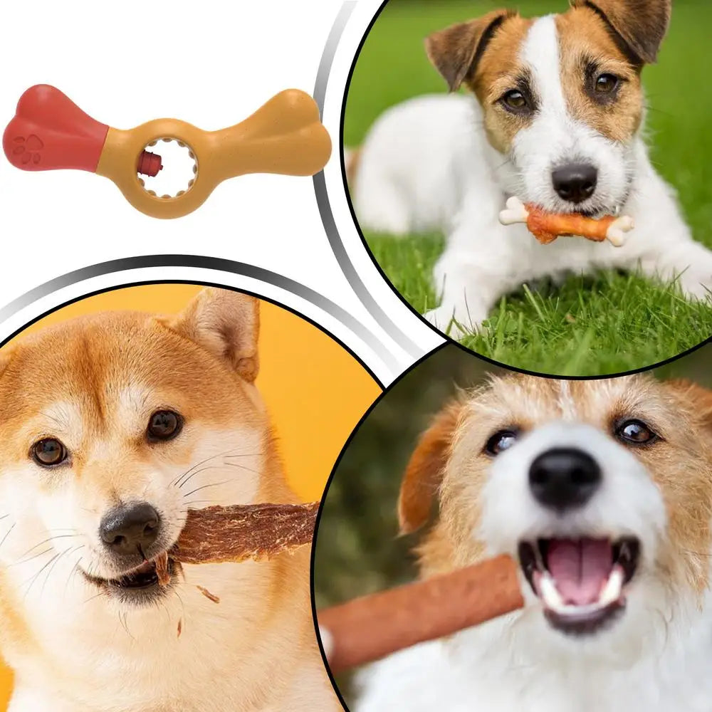 Jouet support à friandises pour chiens / Anti étouffements