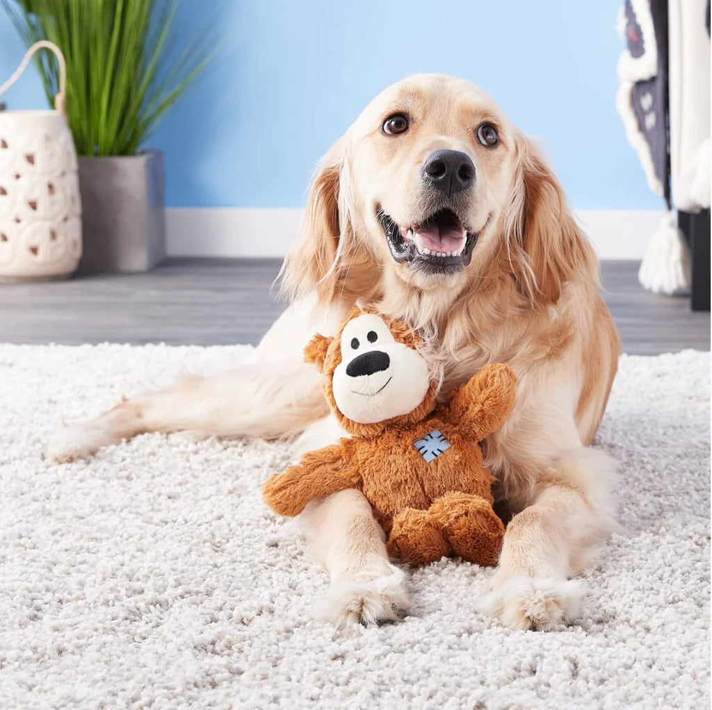 KONG Peluche Bear Dog Toy,