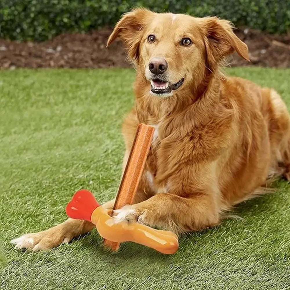 Jouet support à friandises pour chiens / Anti étouffements