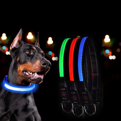 🔥Collier LED USB 🔥