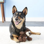 KONG Peluche Bear Dog Toy,
