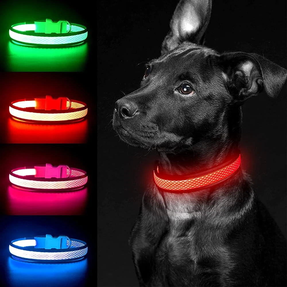 🔥Collier LED USB 🔥