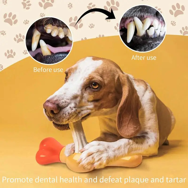 Jouet support à friandises pour chiens / Anti étouffements