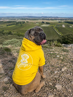 Sweat à capuche GENDJI’S pour chien de grande taille