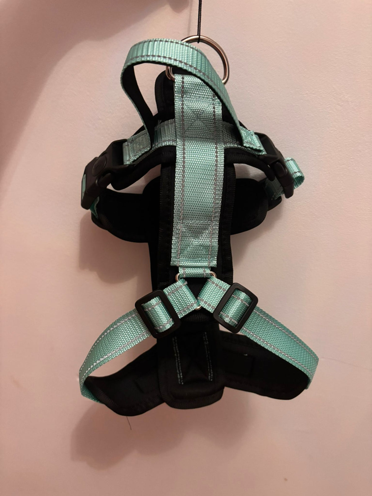Harnais vert d’eau pour chien – photo produit 4