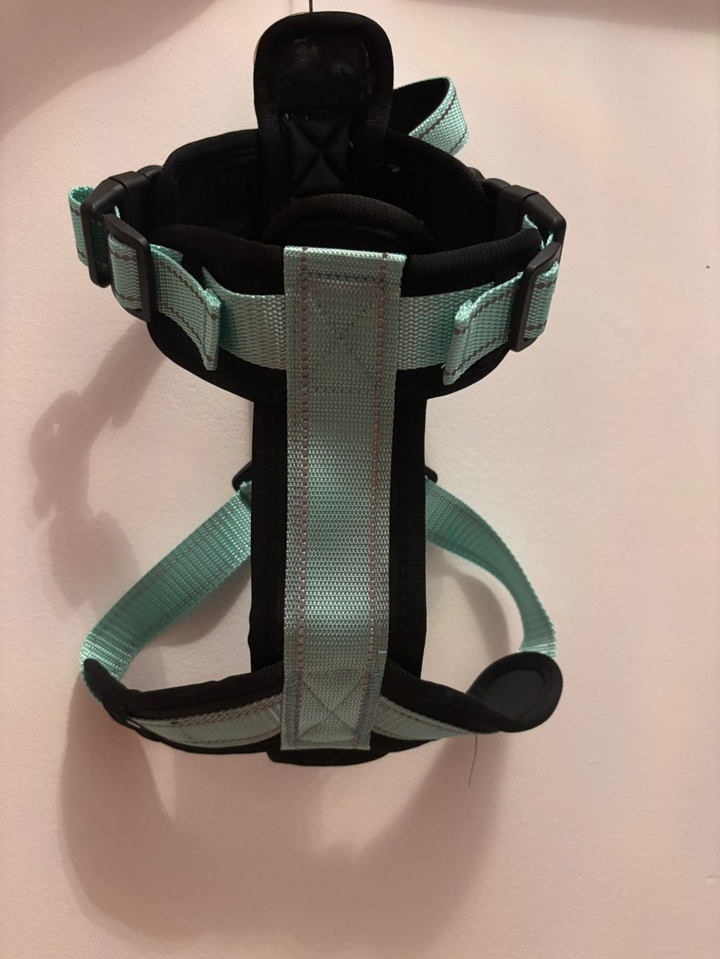 Harnais vert d’eau pour chien – photo produit 3